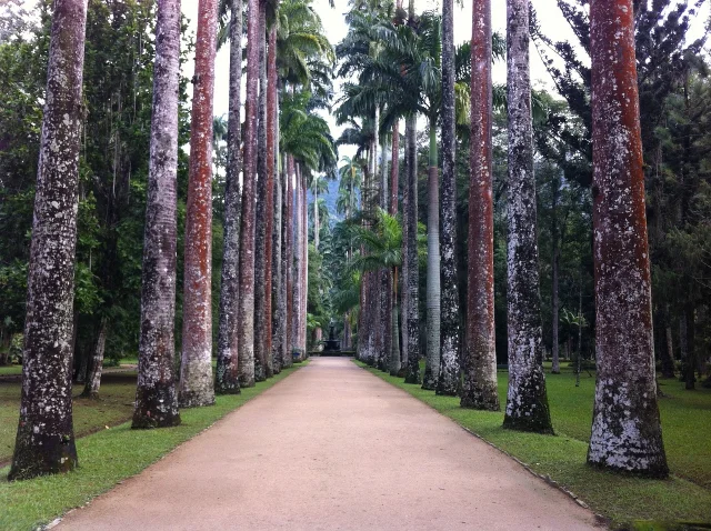 jardim botanico rio de janeiro