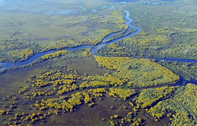 turismo no pantanal